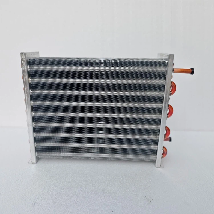 Roast Duck Cabinet Evaporator